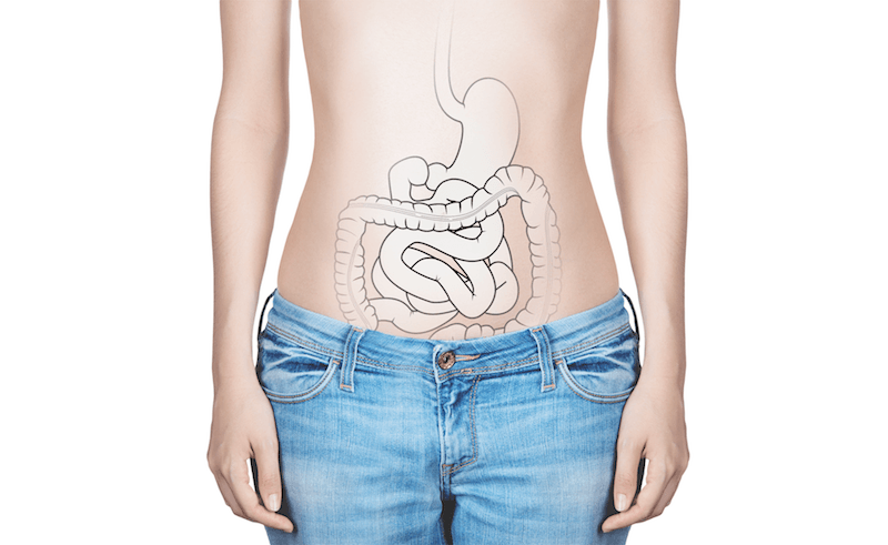 intestines-female